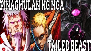 Ang mga Tailed Beast at ang mga Jinchuriki  Naruto Review  Tagalog  Malha Funk [upl. by Rashida956]