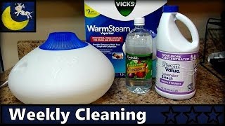 How to Clean Vicks Warm Steam Vaporizer  Disinfect amp Descale [upl. by Levine]