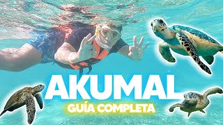 AKUMAL ✅ La GUÍA COMPLETA ¿Qué hacer y como nadar con tortugas  Yalkú Santuario de monos y más [upl. by Gefen]