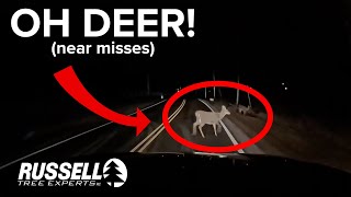 Oh Deer Near Misses Caught on Dashcam [upl. by Yruok82]