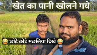 खेत मे पानी छोड़ने गये छोटे छोटे मछली दिखा 😂😂  My New Vlog Kheti Kam [upl. by Sorac35]