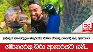 සුද්දෙක් සහ වැද්දන් මාදුරුඔය ජාතික වනෝද්‍යානයේදී කළ අපරාධය  මොනරෙකු මරා ආහාරයට ගනී [upl. by Trbor]