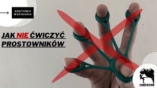 Ćwiczenia prostowników palców i nadgarstka  ANATOMIA WSPINANIA [upl. by Darb95]