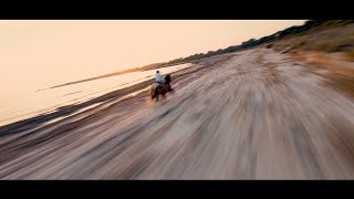 Grabación con un DRON FPV  Caballos galopando  Menorca [upl. by Ennovahs221]