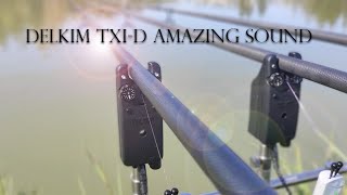 Delkim TXID I Carp Run I Amazing Sound [upl. by Lisab]