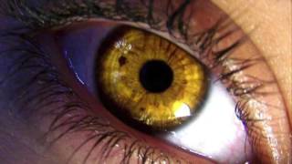 Get YELLOW  GOLD Eyes in 10 SECONDS  How To Change Your Eye Color Hypnosis  Biokinesis [upl. by Sonafets]