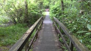 Chattahoochee National Forest  Dahlonega Georgia  Appalachian Trail [upl. by Housum8]