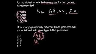 Heterozygosity Homozygosity problem and solution [upl. by Eneliak]