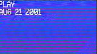 irish VHS overlay NTSC version [upl. by Akiemat]