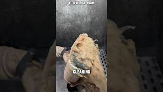 Cleaning Exhaust Filter shorts [upl. by Agrippina]