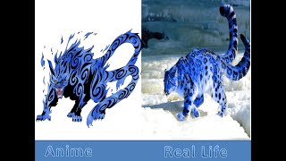 All Tailed Beast in Real LifeNaruto [upl. by Lunt]