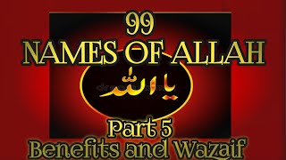 ALMALIK The Kingpart 5 99Names Of AllahBenefits and WazaifQuranMiracle [upl. by Kcirdef325]