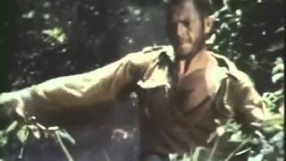 quotPapillonquot trailer TV ad 1973 [upl. by Filberto]