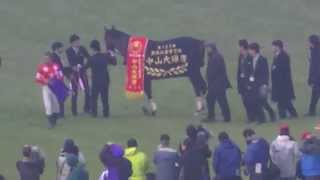 2014 1220 第137回 中山大障害Ｊ・ＧＩ 口取り 現地映像 レッドキングダム [upl. by Ase562]