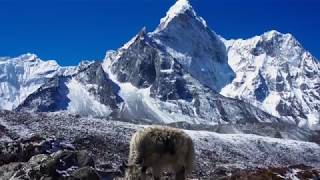 Nepal Three Passes Trek 21 days in the Solukhumbu including Everest Base Camp  1080p HD [upl. by Alyakcim]