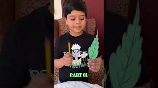 Describe full leaves detail parts 01 shortsviral shorts youtubeshorts trendingshorts viralvideo [upl. by Ibson]