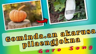 Gominda akaru pilengjok  Gominda vs Akaru  Garo Song [upl. by Lubba]