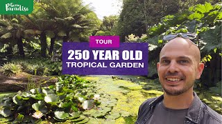 TROPICAL GARDEN with 250 year history TOUR of Abbotsbury Subtropical Gardens [upl. by Adaval]