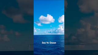 Differences Between Sea and Ocean  ocean sea sealife shorts [upl. by Eilram]