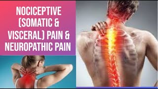 Nociceptive Somatic amp Visceral Pain amp Neuropathic Pain  PhysiotherapyKnowledge [upl. by Seldan987]