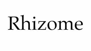 How to Pronounce Rhizome [upl. by Adon]