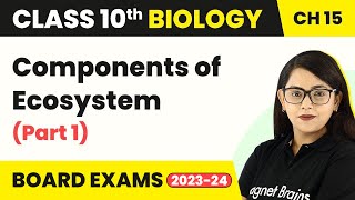 Ecosystem  Biotic amp Abiotic Components 3 Types amp 2 Functions Part 1 of 4 [upl. by Etyam708]