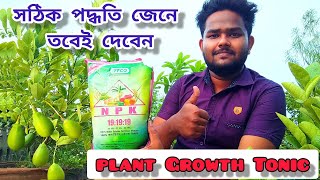 Npk 19 19 19 IFFCO  Water Soluble Fertilizer  Plant Growth Tonic  Macro Nutrients [upl. by Harlie547]