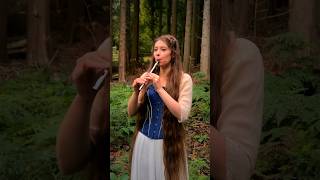 ‘The Lilting Banshee’  a traditional Irish jig ☘️🎶 tinwhistle shorts [upl. by Atwahs]