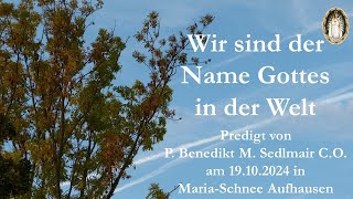 Wir sind der Name Gottes in der Welt  Predigt von P Benedikt M Sedlmair CO [upl. by Arat358]