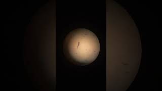 Human cheek epithelial cell science shortvideo [upl. by Goar]