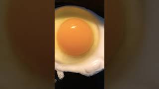 Non fertilized vs Fertilized 🐓 egg chickens fertilizedchickeneggs homestead backyardchickens [upl. by Ottinger]