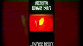 Vaptan Beatz  organic [upl. by Nibur999]