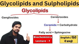 Glycolipids Gangliosides amp Cerebrosides amp Sulpholipid  Biochemistry Lecture in Hindi [upl. by Elana]