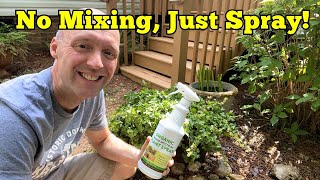 Plant Growth Booster Organic Foliar Fertilizer Spray Review [upl. by Herates]