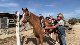 Horsing Around The MEA Tacking Up Western Saddle [upl. by Mozart]