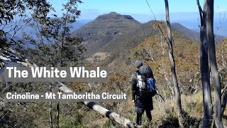 The White Whale  3 Days on the Crinoline to Mt Tamboritha Circuit [upl. by Ettenhoj658]