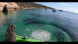 Mount Martha Pillars and a bit of squid fishing [upl. by Einnor954]