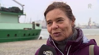 Scheepvaartdocu toont megavervuilende megaschepen [upl. by Ajiram]