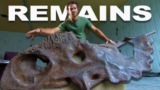 The Great Fossil Race Uncovering Prehistoric Dinosaur Bones  Dino Hunt  Real Wild [upl. by Ejroj]