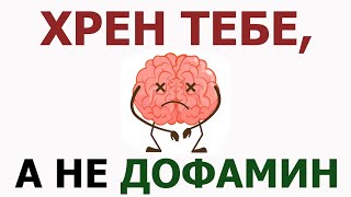 Судьба психостимулятора в ЗАО РФ допамин кокаин кофеин модафинил атомоксетин бупропионникотин [upl. by Rebmik]