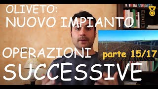 Come Fare un Nuovo Oliveto Operazioni Successive  Parte 1517  Nuovo Impianto Uliveto [upl. by Junette]