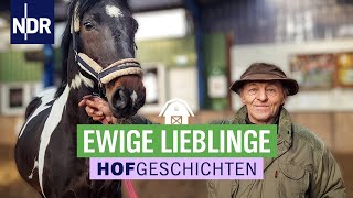 Unsere Lieblinge  Die Nordreportage Hofgeschichten  NDR [upl. by Ludeman]