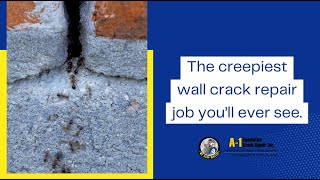 The creepiest wall crack repair job youll ever see [upl. by Ardnauqal]