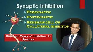 Synaptic InhibitionDifferent Types Of Inhibition In Synapse Presynaptic Postsynaptic Renshaw Cell [upl. by Bred]