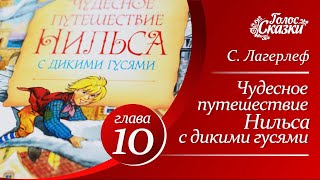 Чудесное путешествие Нильса с дикими гусями Сельма Лагерлеф  глава 10  Аудиосказки для детей [upl. by Thomson]