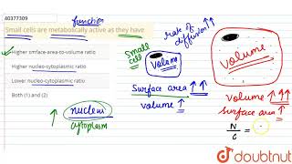Small cells are metabolically active as they have [upl. by Leonhard]