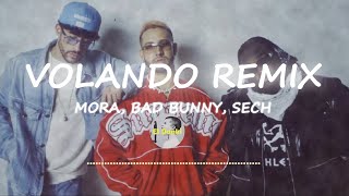 VOLANDO REMIX MORA FT BAD BUNNY SECH LETRALYRICS lyrics musica badbunny sech letras [upl. by Ahsenahs]