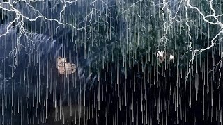 Relax amp Sleep with Powerful Thunderstorm Rain ⚡Hurricane Rain Thunder amp Wind Sounds [upl. by Alin]