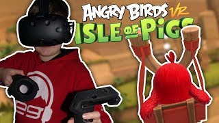 My first Virtual Reality video  Angry Birds VR Isle of Pigs [upl. by Rednael842]