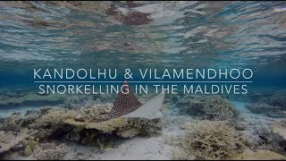 Snorkelling in the Maldives  Kandolhu amp Vilamendhoo  2016 [upl. by Charlot]